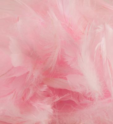 Eleganza Feathers Mixed sizes 3inch-5inch 50g bag Lt. Pink No.21 - Accessories